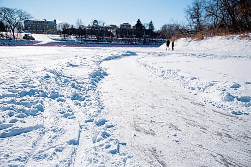 MIKE SUDOMA / WINNIPEG FREE PRESS
The Assiniboine River skating trail Sunday morning
January 24, 2021