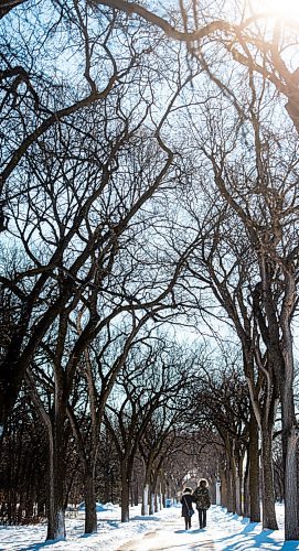 MIKE SUDOMA / WINNIPEG FREE PRESS
A couple walk arm in arm through the trees in front of the pavilion in Assiniboine Park Tuesday afternoon
January 26, 2021