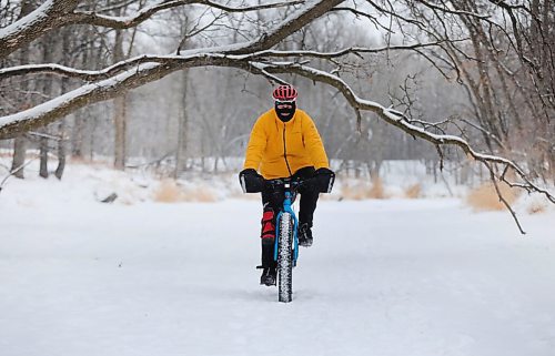 RUTH BONNEVILLE / WINNIPEG FREE PRESS 

Local - River Activity 

Local biking enthusiast, Currie Gillespie, enjoys cycling along the Seine River near his home in south Winnipeg.  

See Malak's story on River Activity 

Feb 04, 2021
