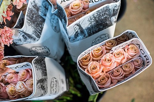 MIKAELA MACKENZIE / WINNIPEG FREE PRESS

Ecuadorian roses in the stock room at Floral Fixx in Winnipeg on Monday, Feb. 8, 2021. For Nicole story.

Winnipeg Free Press 2021