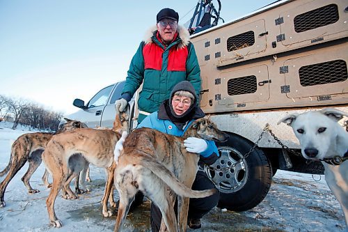 BORIS.MINKEVICH@FREEPRESS.MB.CA BORIS MINKEVICH / WINNIPEG FREE PRESS  100131 Bill and Shirley Hicks with their sled dogs on the Red River.