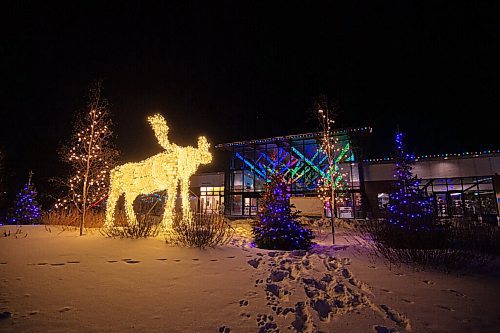 MIKE SUDOMA / WINNIPEG FREE PRESS
Colourful light displays take over the Assiniboine Park Zoo as the Zoo Lights show opens its doors Saturday.
February 19, 2021