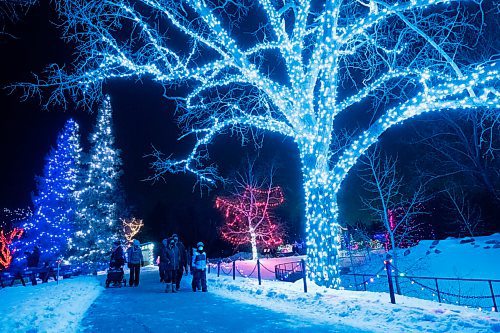 Daniel Crump / Winnipeg Free Press. Visitors to the Winnipeg Zoo enjoy displays made up of thousands of lights on opening night of the Zoo Lights festival. The festival will be open six days a week from February 20, 2021 - March 28, 2021. February 20, 2021.