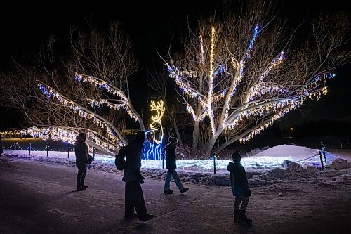 Daniel Crump / Winnipeg Free Press. Visitors to the Winnipeg Zoo enjoy displays made up of thousands of lights on opening night of the Zoo Lights festival. The festival will be open six days a week from February 20, 2021 - March 28, 2021. February 20, 2021.