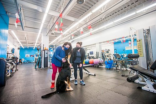 MIKAELA MACKENZIE / WINNIPEG FREE PRESS

Co-owners Chelsea White and Lindsay Jurkowski pose for a portrait at Advantage Conditioning in Winnipeg on Tuesday, March 2, 2021. They're happy with the extension, but are struggling with the restrictions. For Temur story.

Winnipeg Free Press 2021