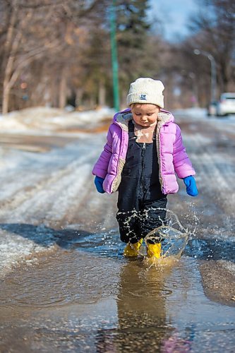 MIKAELA MACKENZIE / WINNIPEG FREE PRESS

Two-year-old Frankie Beck enjoys the snowmelt puddles on Viscount Pl in Fort Garry Thursday, March 4, 2021. Standup.

Winnipeg Free Press 2021