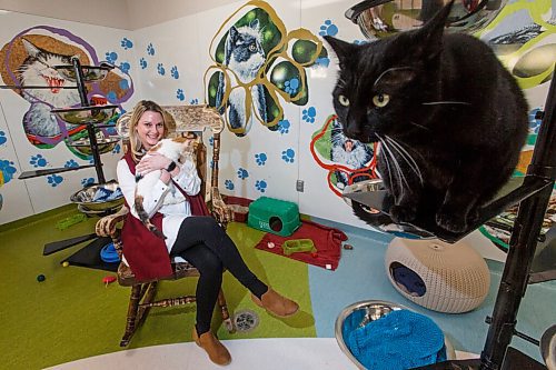 MIKE DEAL / WINNIPEG FREE PRESS
Jessica Miller, CEO of Winnipeg Humane Society, holds Cali while Damien takes a higher perch to check out the photographer in the cat room at 45 Hurst Way.
See Doug Speirs story
210304 - Thursday, March 04, 2021.