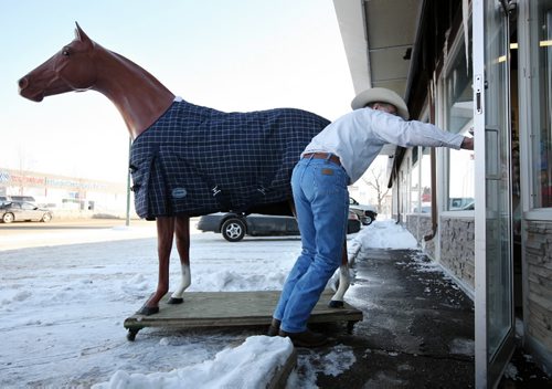 Brandon Sun Lyle Mansfield takes in a horse mannequin from the front of his 18th Street store, Tuesday afternoon. The horse has greeted customers for the past 24 years, since Mansfield moved to the location. (Colin Corneau/Brandon Sun)