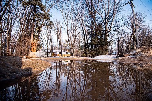 MIKE SUDOMA / WINNIPEG FREE PRESS 
Tall trees stick up all around the property at 80 Kings Dr Friday evening
March 5, 2021