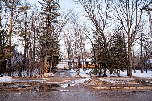 MIKE SUDOMA / WINNIPEG FREE PRESS 
Tall trees stick up all around the property at 80 Kings Dr Friday evening
March 5, 2021