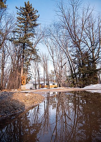 MIKE SUDOMA / WINNIPEG FREE PRESS 
Tall trees stick up all around the property at 80 Kings Dr Friday evening
March 5, 2021