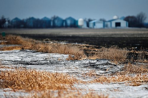 JOHN WOODS / WINNIPEG FREE PRESS
Fields with little snow cover and an early melt just west of Winnipeg Sunday, March 7, 2021. Low moisture conditions in the fields and the early melt may lead to drought conditions for some Manitoba farmers.

Reporter: May