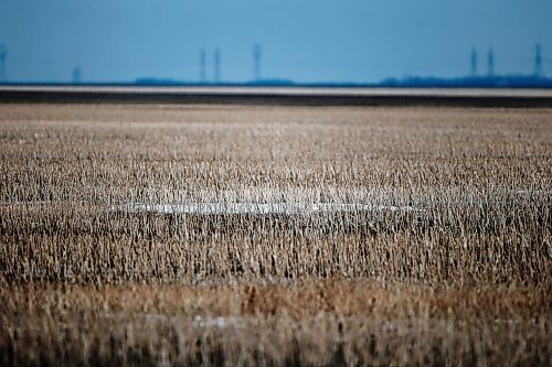 JOHN WOODS / WINNIPEG FREE PRESS
Fields with little snow cover and an early melt just west of Winnipeg Sunday, March 7, 2021. Low moisture conditions in the fields and the early melt may lead to drought conditions for some Manitoba farmers.

Reporter: May