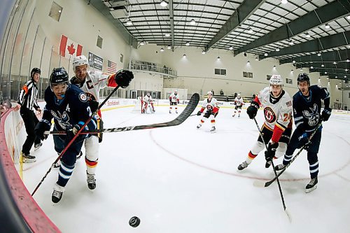 JOHN WOODS / WINNIPEG FREE PRESS
Manitoba Moose and Stockton Heat go into the corner after the puck during first period AHL action at the Iceplex in Winnipeg on Monday, March 8, 2021.

Reporter: Allen