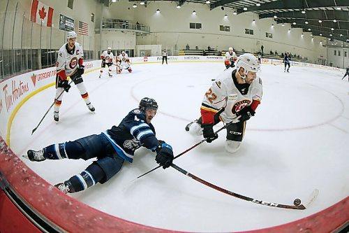 JOHN WOODS / WINNIPEG FREE PRESS
Manitoba Moose Skyler McKenzie (43) plays the puck against Stockton Heats Giorgio Estephan (22) during first period AHL action in Winnipeg on Thursday, March 11, 2021.

Reporter: Allen