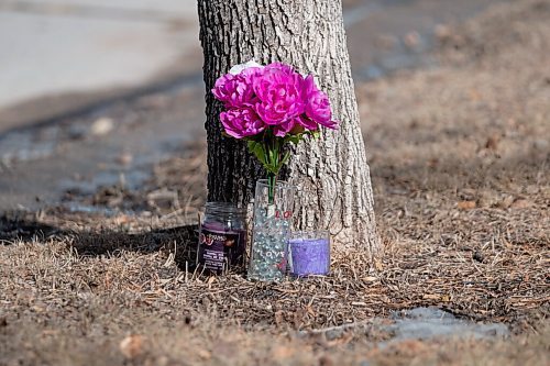 Daniel Crump / Winnipeg Free Press. Flowers and candles placed next to a tree just outside the police cordon. Winnipeg Police have closed off an area around 484 Agnes Street just north or Ellice Avenue. The Police Identification Unit is also on site. March 13, 2021.
