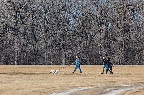 MIKE DEAL / WINNIPEG FREE PRESS
A family takes a walk with their dogs in a blustery La Barriere park Friday afternoon.
210319 - Friday, March 19, 2021.