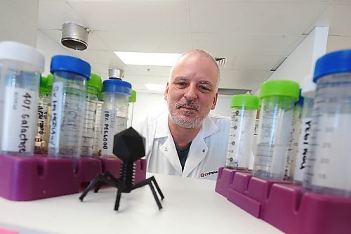 JOHN WOODS / WINNIPEG FREE PRESS
Steven Theriault, CEO and CSO of Cytophage Technologies, a biotech company that uses phages, organisms that kill bacteria, is photographed in his lab in Winnipeg Monday, March 22, 2021. Cytophage just got approval to do animal testing on an application that could prompt development of anti-bodies that would prevent COVID infections.

Reporter: Cash