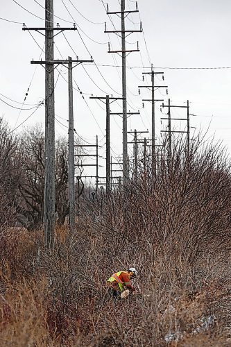 JOHN WOODS / WINNIPEG FREE PRESS
Crews were out clearing trees along a hydro and rail line near Omand Park in Winnipeg Tuesday, March 23, 2021. 

Reporter: ?