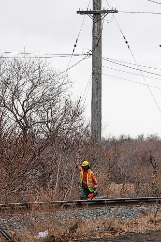 JOHN WOODS / WINNIPEG FREE PRESS
Crews were out clearing trees along a hydro and rail line near Omand Park in Winnipeg Tuesday, March 23, 2021. 

Reporter: ?