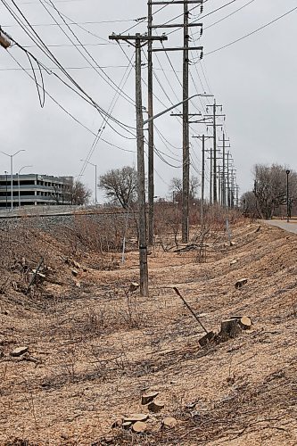 JOHN WOODS / WINNIPEG FREE PRESS
Crews were out clearing trees along a hydro and rail line near Omand Park in Winnipeg Tuesday, March 23, 2021. 

Reporter: ?