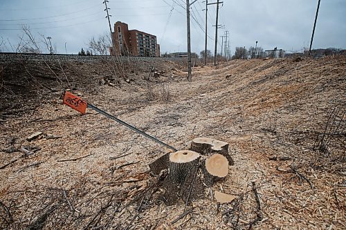 JOHN WOODS / WINNIPEG FREE PRESS
Crews were out clearing trees along a hydro and rail line near Omand Park in Winnipeg Tuesday, March 23, 2021. 

Reporter: ?