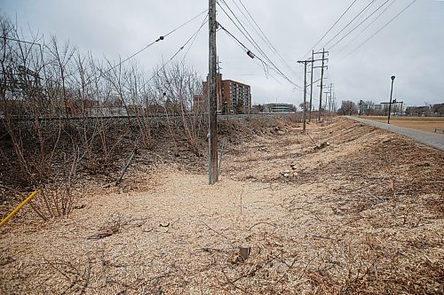 JOHN WOODS / WINNIPEG FREE PRESS
Crews were out clearing trees along a hydro and rail line near Omand Park in Winnipeg Tuesday, March 23, 2021. 

Reporter: ?