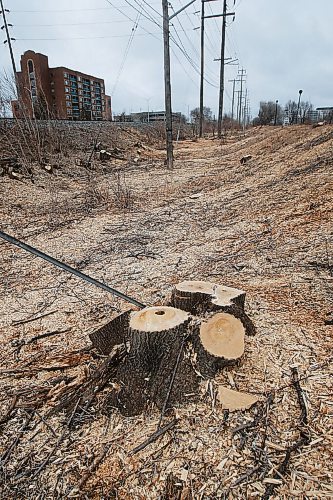 JOHN WOODS / WINNIPEG FREE PRESS
Crews were out clearing trees along a hydro and rail line near Omand Park in Winnipeg Tuesday, March 23, 2021. 

Reporter: ?