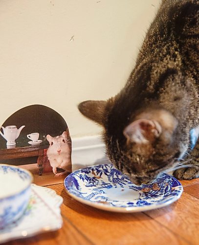 MIKE DEAL / WINNIPEG FREE PRESS
Janice Perkins, owner of Missing Pieces (646 Academy Road).
Janice recently got a cat which she named, Mikado, after the china pattern. The cat aptly eats out of a set of Mikado dishes.
Since '93, Janice has searched high and low for dinnerware, flatware etc. that customers from all over the world have requested, to complete a cherished set. She started with zero inventory, working out of a bedroom in a three-bedroom apartment, outgrew three spaces (including a retail operation, also on Academy) before moving to her current digs, one year ago.
See Dave Sanderson story
210324 - Wednesday, March 24, 2021.