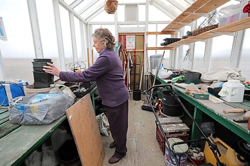 RUTH BONNEVILLE / WINNIPEG FREE PRESS 

49.8 - Dr. Olva Odlum

Photo of Olva in her garden shed and greenhouse on her property in Fraserwood, MB. 

Career profile piece on the provinces first female dentist. Photos taken in Fraserwood, north west of Gimli, where she spends half her time, and has a large property with a garden during summer months.  

Dr. Odlum, 81, was the province's first female dentist, when she & her husband moved to Winnipeg in the late '60s from Vancouver via Wales, where the two of them were born and raised. 

She studied in London, followed her husband, an agricultural worker, to Canada in the '60s, and continued following him around Canada, as he chased jobs, until they finally settled here. After a long and distinguished career - she's spoken around the world on various topics related to dentistry, and was instrumental as a faculty member at the U of M in making dental care accessible for people in Manitoba's northern communities and reserves.

Dave Sanderson story for the 49.8 cover story, running April 3. 

March 25 ,2021
