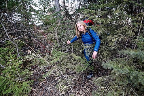 JOHN WOODS / WINNIPEG FREE PRESS
Megan Maxwell walks through the bush close to her home near Birds Hill Park Monday, April 5, 2021. Maxwell was kicked out of the provincial camping site booking website after waiting for hours in line.

Reporter: McIntosh