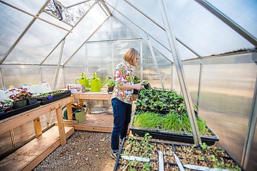 MIKAELA MACKENZIE / WINNIPEG FREE PRESS

Gardener Janet Epp, who uses a coconut coir mix instead of peat to start her seedlings, poses for a portrait in her greenhouse in Winnipeg on Tuesday, April 6, 2021. For Sarah Lawrynuik story.

Winnipeg Free Press 2021