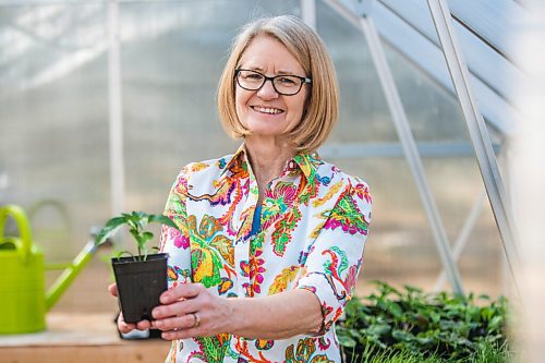 MIKAELA MACKENZIE / WINNIPEG FREE PRESS

Gardener Janet Epp, who uses a coconut coir mix instead of peat to start her seedlings, poses for a portrait in her greenhouse in Winnipeg on Tuesday, April 6, 2021. For Sarah Lawrynuik story.

Winnipeg Free Press 2021