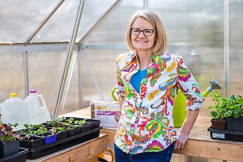 MIKAELA MACKENZIE / WINNIPEG FREE PRESS

Gardener Janet Epp, who uses a coconut coir mix instead of peat to start her seedlings, poses for a portrait in her greenhouse in Winnipeg on Tuesday, April 6, 2021. For Sarah Lawrynuik story.

Winnipeg Free Press 2021