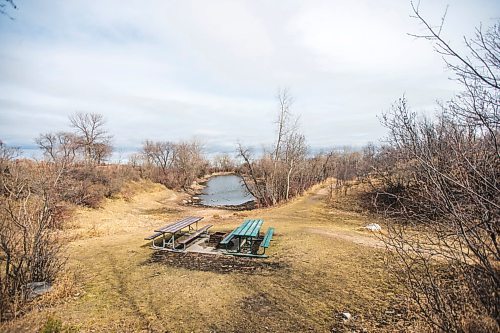 MIKAELA MACKENZIE / WINNIPEG FREE PRESS


The quarry at Little Mountain Park in Winnipeg on Friday, April 9, 2021. For Joyanne Pursaga story.
Winnipeg Free Press 2020.