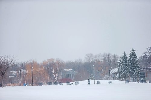 MIKAELA MACKENZIE / WINNIPEG FREE PRESS


Few people brave the spring storm out in Assiniboine Park in Winnipeg on Tuesday, April 13, 2021.
Winnipeg Free Press 2020.