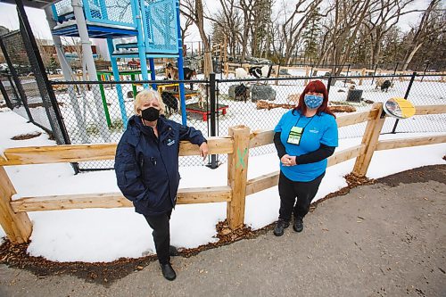 MIKE DEAL / WINNIPEG FREE PRESS
Shaun Leonoff (left), manager, volunteer resources Assiniboine Park Conservancy, with volunteer at the Zoo's Aunt Sally's Farm, Jeri-lynn Heinsma (right) who helps out mostly at the Zoo. 
See Aaron Epp story
210415 - Thursday, April 15, 2021.