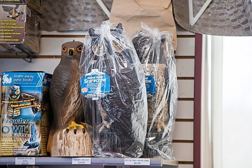 MIKAELA MACKENZIE / WINNIPEG FREE PRESS


The store at Poulin's Pest Control in Winnipeg on Thursday, April 15, 2021. For Dave Sanderson story.
Winnipeg Free Press 2020.