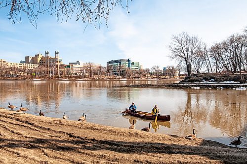 Daniel Crump / Winnipeg Free Press. Mike Alperyn (blue) and Jamie Hofing (yellow) paddle their canoe on the Assiniboine River at the Forks as they finish off their afternoon paddle from Wolseley. April 17, 2021.