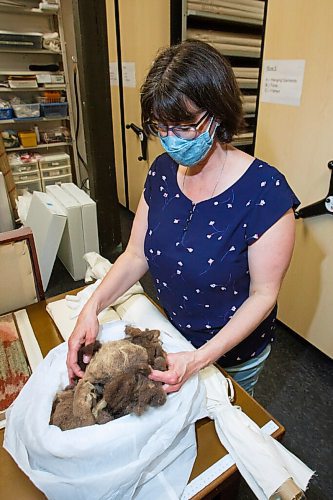 MIKE DEAL / WINNIPEG FREE PRESS
Curator Andrea Reich of the Manitoba Crafts Museum and Library with some bison wool that was gathered for a felting project prior to the pandemic.
See Brenda Suderman story
210421 - Wednesday, April 21, 2021.