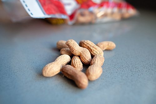 Daniel Crump / Winnipeg Free Press. Peanuts on the kitchen counter in Roy and Sarah Belesarios home. April 22, 2021.