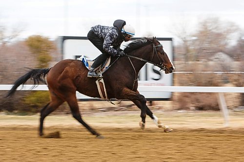 MIKE DEAL / WINNIPEG FREE PRESS
Antonio Whitehall rides Impressive Sense in a training run Thursday morning at Assiniboia Downs.
Early morning training on the Assiniboia Downs track on Thursday. Racing is set to begin on May 17th.
210429 - Thursday, April 29, 2021.