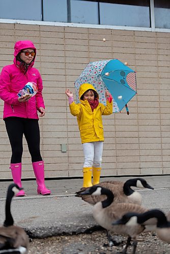 JESSE BOILY  / WINNIPEG FREE PRESS
Young Gwozdz and her daughter, Gina, 4, feed some geese at St. Vital Park on Sunday. Sunday, May 2, 2021.
Reporter: Standup