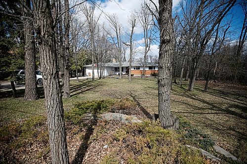 JOHN WOODS / WINNIPEG FREE PRESS
80 Kings Drive, the site of a proposed multi-residence development, photographed Tuesday, May 4, 2021. The city has rejected their proposal to cut down 80 trees for the development.

Reporter: ?