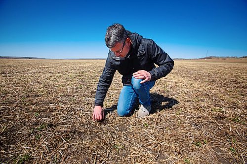 MIKE DEAL / WINNIPEG FREE PRESS
James Kuhl, COO of River Valley Farms, checks out the depth of the hemp seed that was just planted by his farm manager, Wilmar Wiebe, Wednesday morning.
The start of the growing season for hemp hearts at River Valley Farms, which is a few kilometres west of Portage La Prairie, in Bagot.
See Randal King farm-to-table feature story
210505 - Wednesday, May 05, 2021.