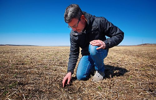 MIKE DEAL / WINNIPEG FREE PRESS
James Kuhl, COO of River Valley Farms, checks out the depth of the hemp seed that was just planted by his farm manager, Wilmar Wiebe, Wednesday morning.
The start of the growing season for hemp hearts at River Valley Farms, which is a few kilometres west of Portage La Prairie, in Bagot.
See Randal King farm-to-table feature story
210505 - Wednesday, May 05, 2021.