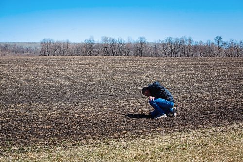 MIKE DEAL / WINNIPEG FREE PRESS
James Kuhl, COO of River Valley Farms, checks out the depth of the hemp seed that was just planted by his farm manager, Wilmar Wiebe, Wednesday morning.
The start of the growing season for hemp hearts at River Valley Farms, which is a few kilometres west of Portage La Prairie, in Bagot.
See Randal King farm-to-table feature story
210505 - Wednesday, May 05, 2021.