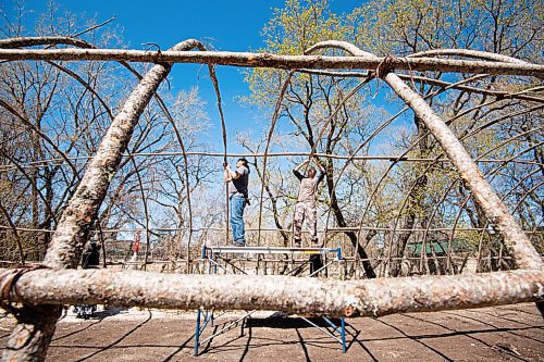 MIKE SUDOMA / WINNIPEG FREE PRESS  
(Left to right) Kirby Nelson and Andrew Atkinson tie together the structure of a traditional midewiwin lodge on the river banks across from the Forks Market Friday afternoon. 
May 7, 2021