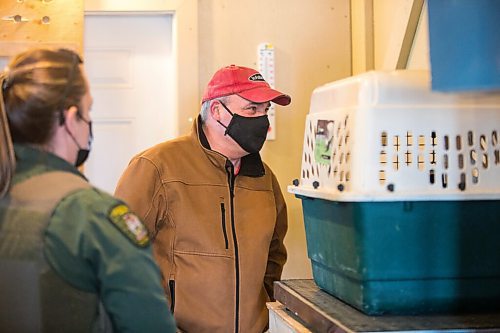 MIKAELA MACKENZIE / WINNIPEG FREE PRESS

Roger Stearns gets a first look at the cub brought into the black bear rehabilitation centre while it is weighed near Stonewall on Sunday, April 25, 2021. For Eva Wasney story.
Winnipeg Free Press 2020.