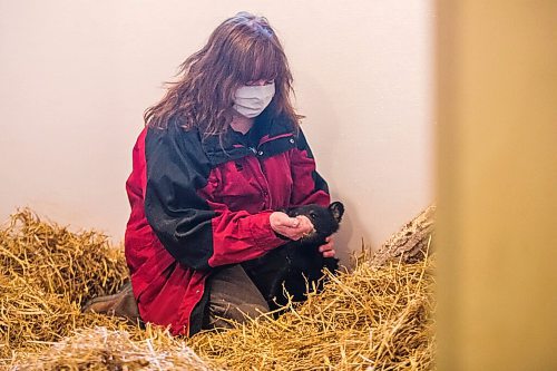 MIKAELA MACKENZIE / WINNIPEG FREE PRESS

Judy Stearns gives the cub its first feeding at the black bear rehabilitation centre near Stonewall on Sunday, April 25, 2021. For Eva Wasney story.
Winnipeg Free Press 2020.